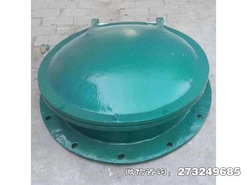 玻璃鋼拍門