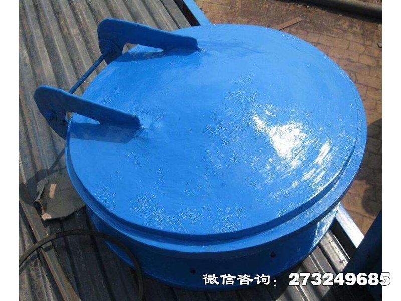 復合材料防倒灌拍門