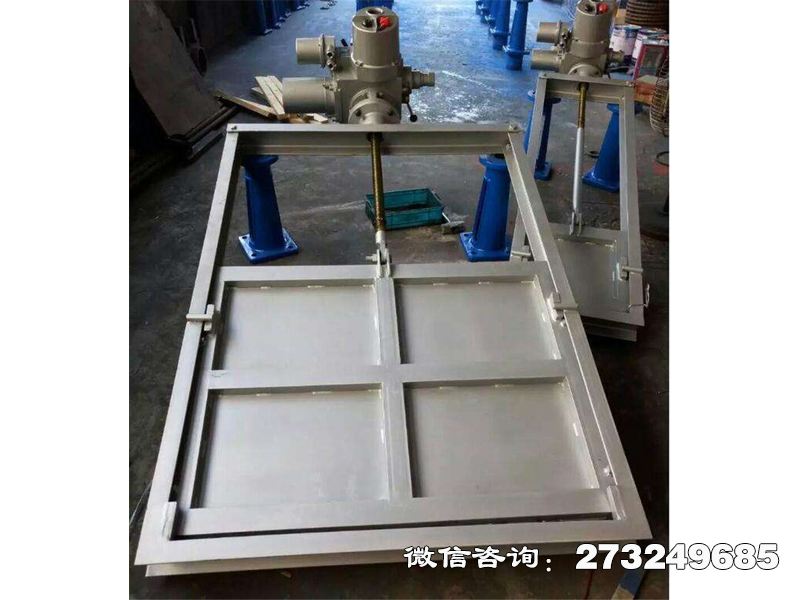316L不銹鋼機(jī)閘一體閘門