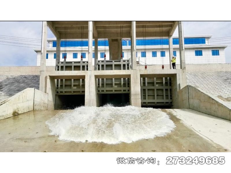 應急排澇泵站閘門