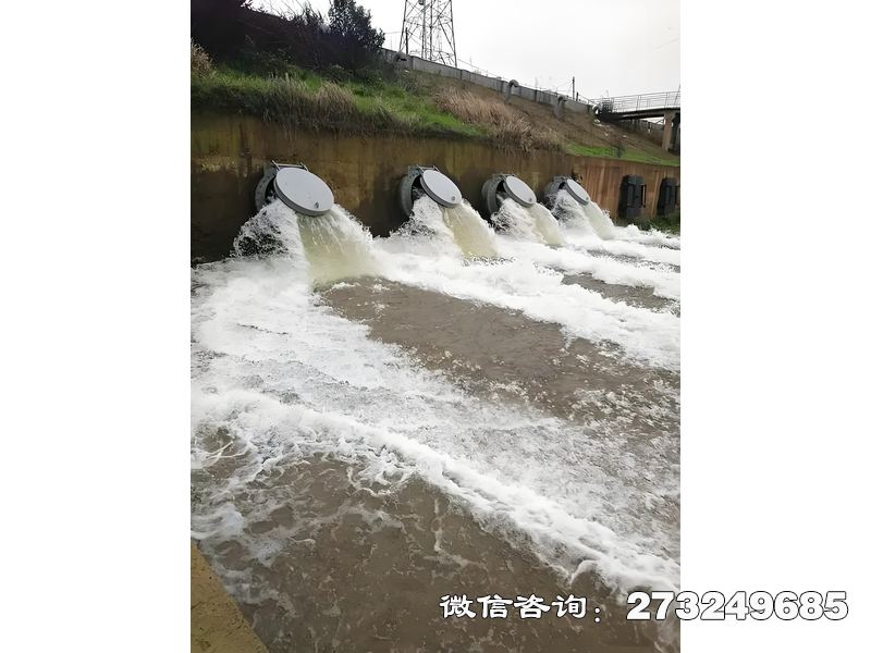 排水管網末端潮門拍門