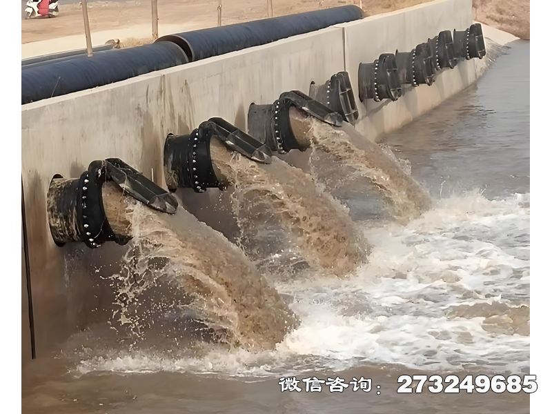 蓄滯洪區(qū)分洪閘潮門拍門