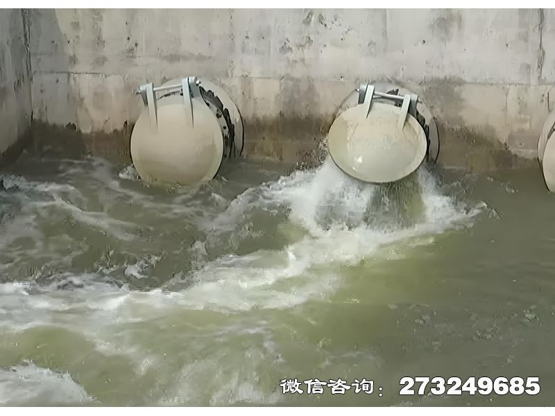 河道生態護岸排水潮門拍門