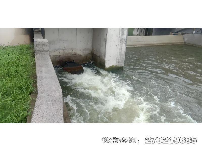 海塘防潮閘潮門拍門