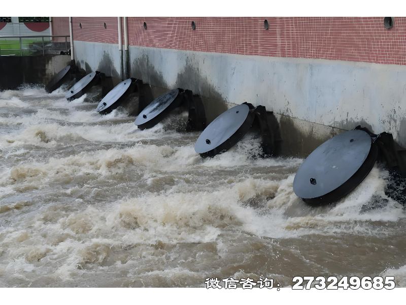 灌溉渠首水閘潮門拍門