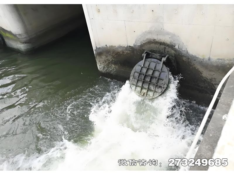 海洋防潮堤拍門