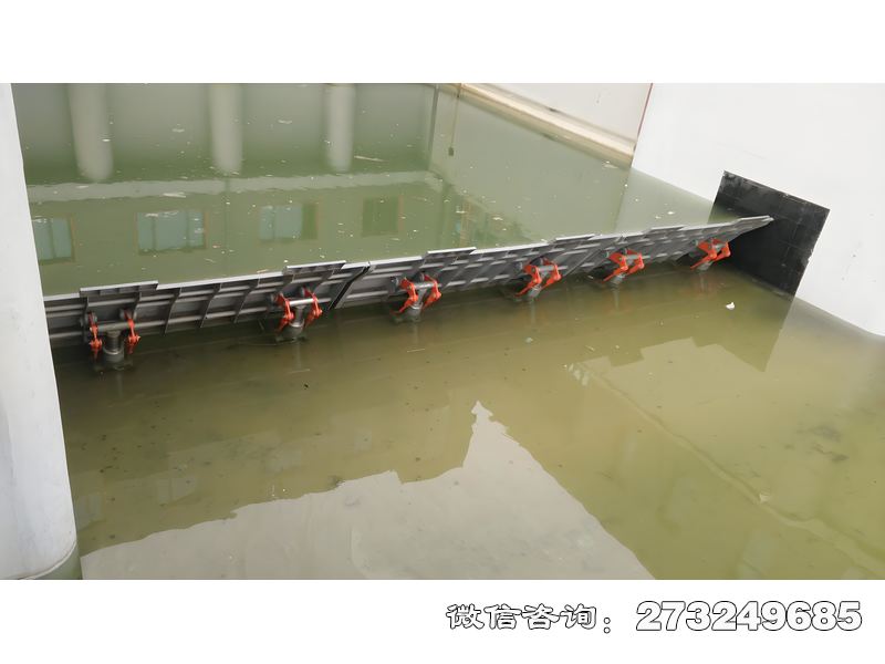 湖泊防洪安全壩