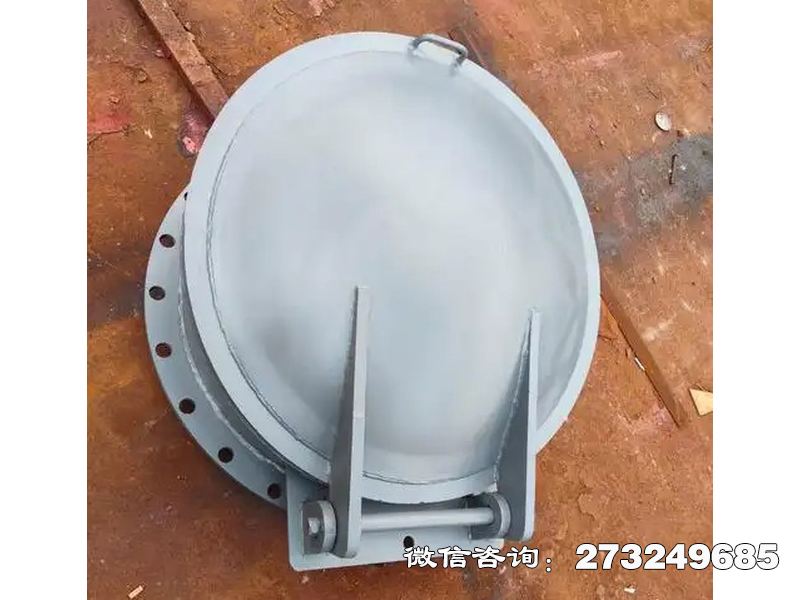 秦皇島鑄鐵圓型防逆流拍門