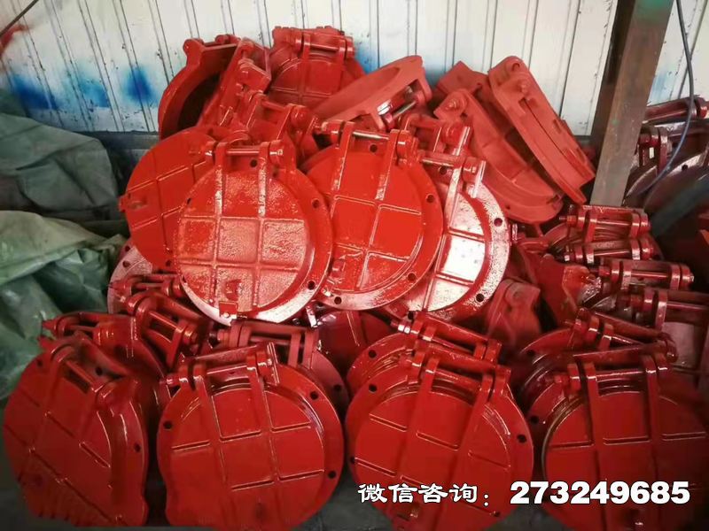 隨州鑄鐵圓形泵站拍門