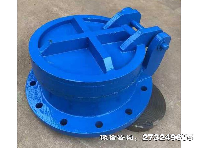 秦皇島鑄鐵圓型截污拍門